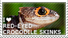 I love Red-eyed Crocodile Skinks