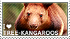 I love Tree-kangaroos