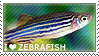 I love Zebrafish by WishmasterAlchemist