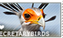 I love Secretarybirds