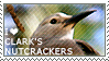 I love Clark's Nutcrackers by WishmasterAlchemist