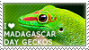 I love Madagascar Day Geckos by WishmasterAlchemist