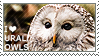 I love Ural Owls