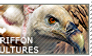 I love Griffon Vultures