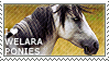 I love Welara Ponies