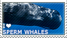 I heart sperm whales
