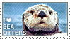 I love Sea Otters