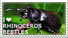 I love Rhinoceros Beetles by WishmasterAlchemist