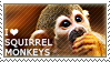 I love Squirrel Monkeys