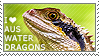 I love Australian Water Dragons by WishmasterAlchemist