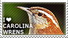 I love Carolina Wrens