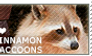 I love Cinnamon Raccoons