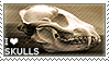 [C.81] I love Skulls for HannahSealy