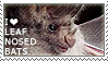 I love Leaf-nosed Bats