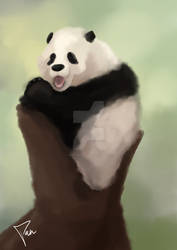 .:Yawny Panda:.