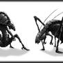 Insectoid_Doom concepts