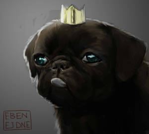 The King of Pugs (sketch)