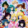 Sailor Team -Sakura Flowers-