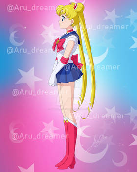 Sailor Moon DIC DVD Vol. 1 Insert (Commission)