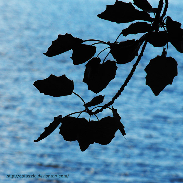 Blue Background