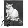 Cat Commission - Sold