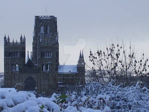 Under a Blanket of Snow