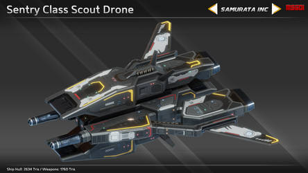 Sentry Class Scout Drone