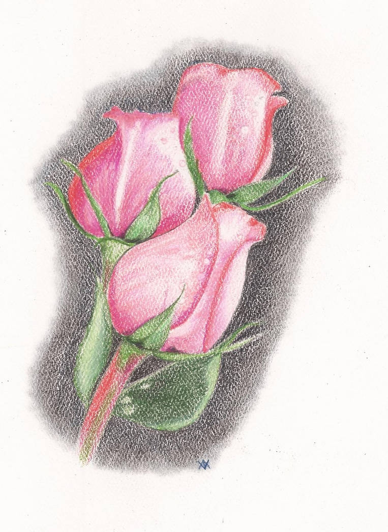 Three Roses by wmoffatt on DeviantArt