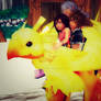 Chocobo Ride