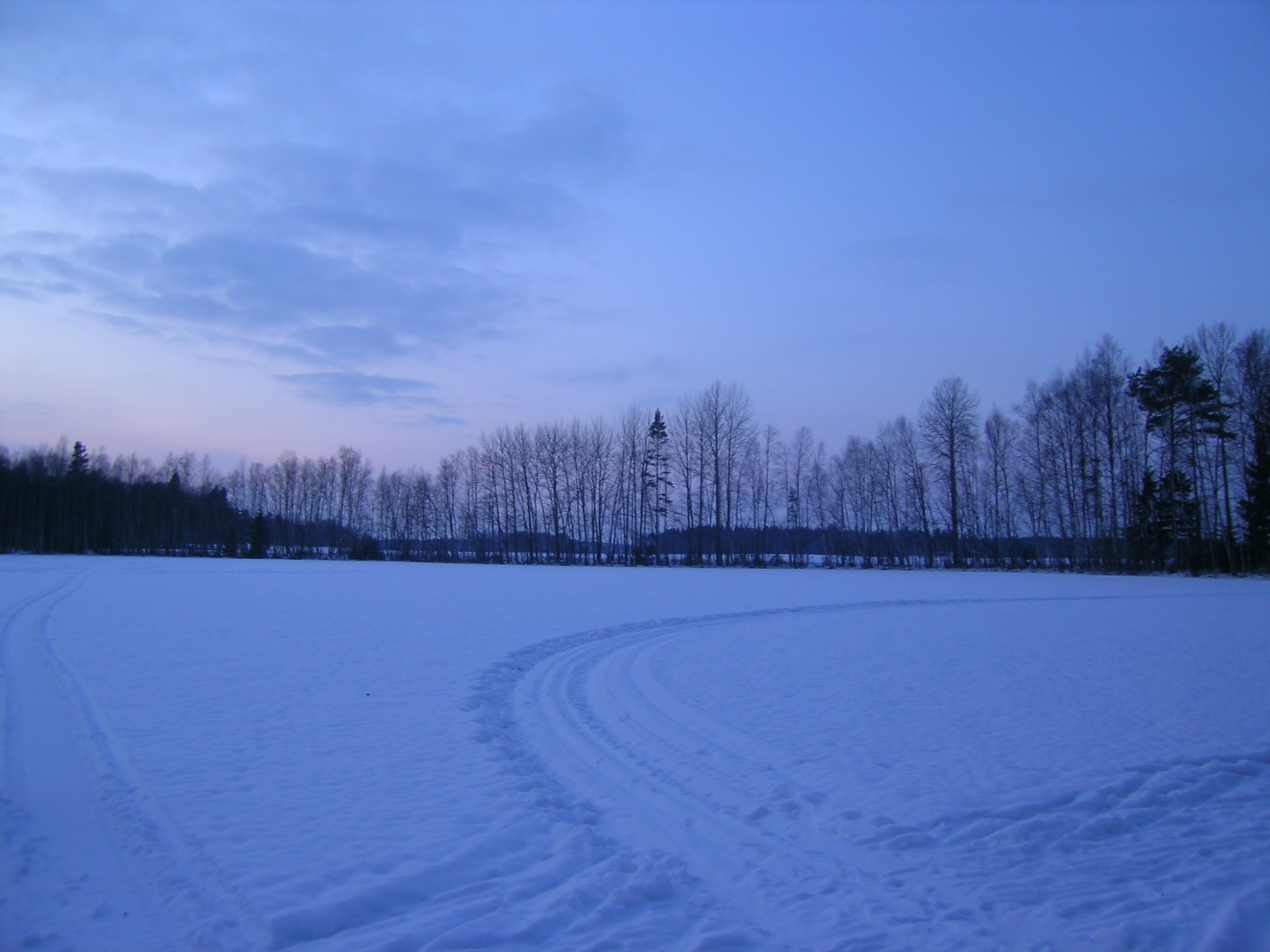 Last winter