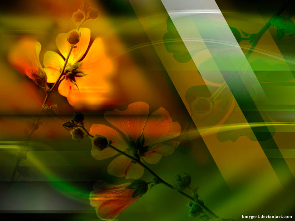 Colors by KmyGraphic Colors by KmyGraphic