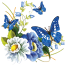 BlueButterflies by KmyGraphic
