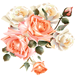 Jocelyne's roses