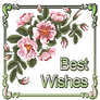 Best Wishes