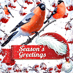 SeasonGreetings