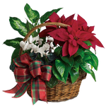Bouquet by KmyGraphic