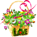 Basket by KmyGraphic