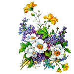 For you by KmyGraphic