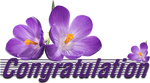 Congratulation by KmyGraphic
