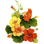 Beautiful by KmyGraphic