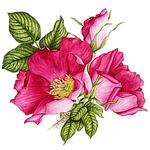 For You by KmyGraphic