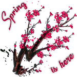 Spring is here by KmyGraphic