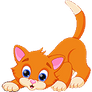 Little KITTY