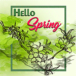 Spring Animation Wording Animation Word Art on Words-Art - DeviantArt
