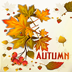 Thank you Autumn