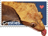 Gecko Licking Stamp by Rep-phibian