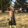 Viking archer