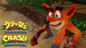 Crash Bandicoot N. Sane Trilogy Twinsanity version