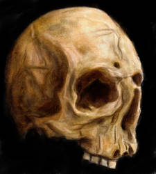 Skull by Filsd