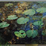 Fairy's on Crystal Lake